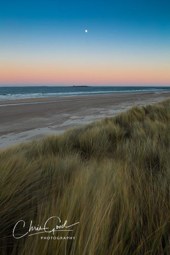 Moonrise at Farne 
 Keywords: Farne Islands, Vibrant, Northumberland, UK, UK Coast, Coastal view, Dunes,